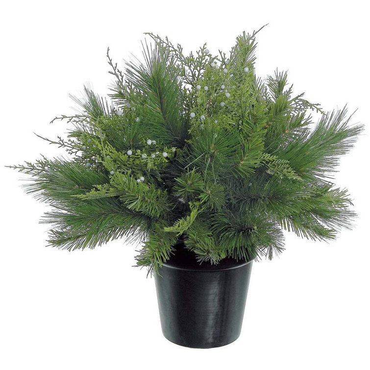 Primrue 20'' Faux Evergreen Plant in Pot Wayfair